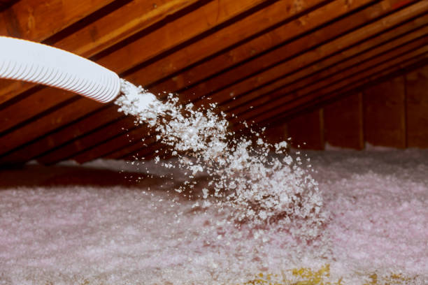 Best Spray Foam Insulation  in Dayton, TN